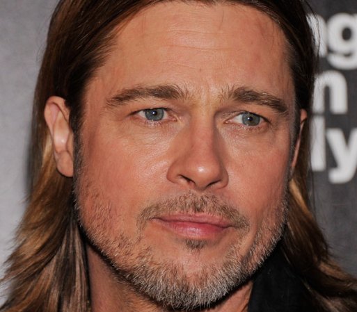 Aunque ya todos conocen a la esposa de Brad Pitt, Angelina Jolie desde hace varios años, al actor se le adjudicaron varias parejas en el mundo del espectáculo. Se divorció de Jennifer Aniston. Juliette Lewis y Gwyneth Paltrow también fueron novias de uno de los actores, considerados más famosos de Hollywood.