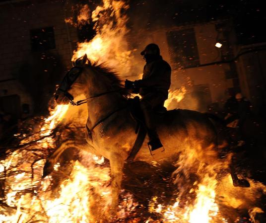 Prueba de fuego para un caballo y su jinete en las fiestas de San Antón en un pueblo de España.