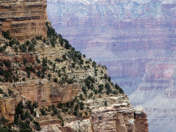 Gran Cañón de Colorado, Estados Unidos.