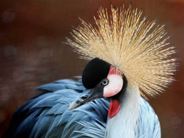 La naturaleza nunca se cansa de exhibir su belleza.