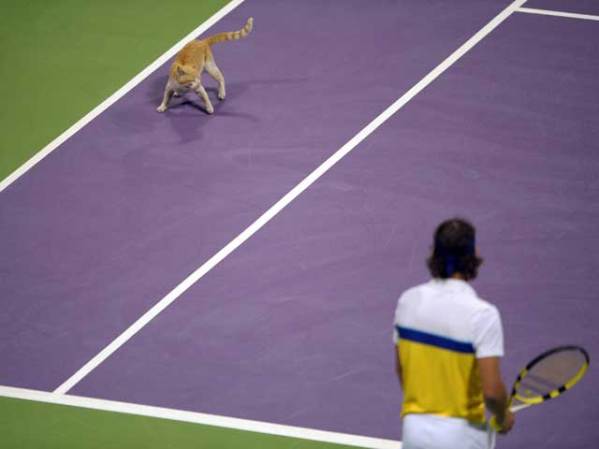 No hay nada que disguste más a un deportista que las sorpresas, como por ejemplo ésta.