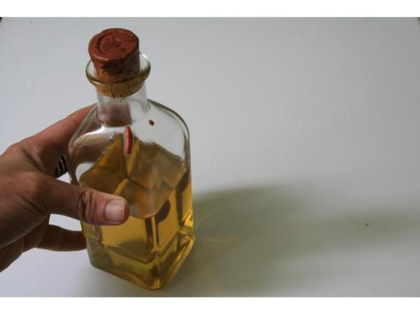 El aceite de oliva es una grasa buena. Ayuda a quemar calorías y mantiene bajo el colesterol.