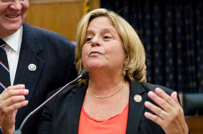 Ros-Lehtinen apoya reforma demócrata