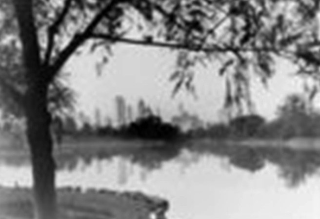 Una recopilación de fotos nostálgicas del antiguo Nueva York, cuando estaba es su apogeo de crecimiento.