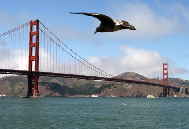 El Golden Gate (en español, Puerta Dorada) es un puente colgante situado en California, Estados Unidos, que une la península de San Francisco por el norte con el sur de Marin. Tiene una longitud aproximada de 1,280 metros, está suspendido de dos torres de 227 m de altura.