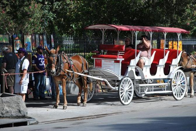 JACKSON SQUARE: Es una de las atracciones principales de la ciudad, situada en el corazón del Barrio Francés de Nueva Orleans, está rodeado de edificios históricos. Con tiendas, museos y galerías.