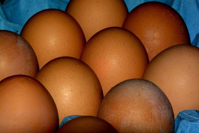 Los huevos, ojo, hay que cocinarlos bien o lo que es lo mismo a punto de ebullición. La salmonella enteritidis causa infección en los ovarios de las gallinas, Esta fue la principal culpable de provocar más de 11,000 enfermedades a seres humanos al consumir huevos contaminados.