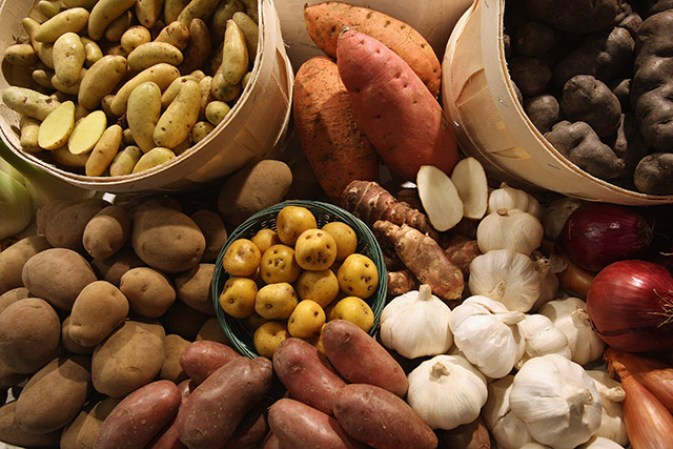 Las papas son responsables de provocar 3,659 enfermedades. El riesgo más común, es que el 40% de ellas están asociadas a la salmonella al estar combinadas con vegetales ya contaminados cuando son combinadas en las ensaladas, especialmente en restaurantes y en sitios que venden "delicateses".