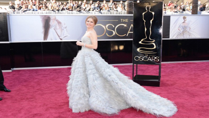Amy Adams lució un hermoso vestido en la ceremonia del 2013.
