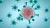 “Seis casos de coronavirus, muy probable que haya más”: condado Montgomery