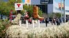 Buscan 1,000 empleados para el Rodeo de Houston