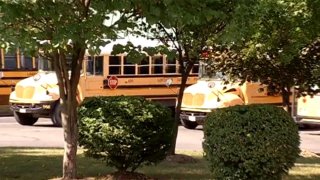 Loudoun County School Buses