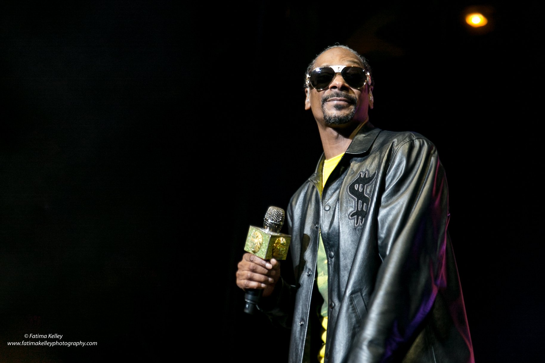 Snoop Dogg busca contratar un catador internacional de helados