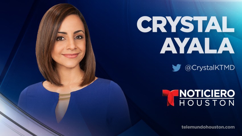 crystal ayala web