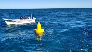 mexico-proteccion-vaquita-marina