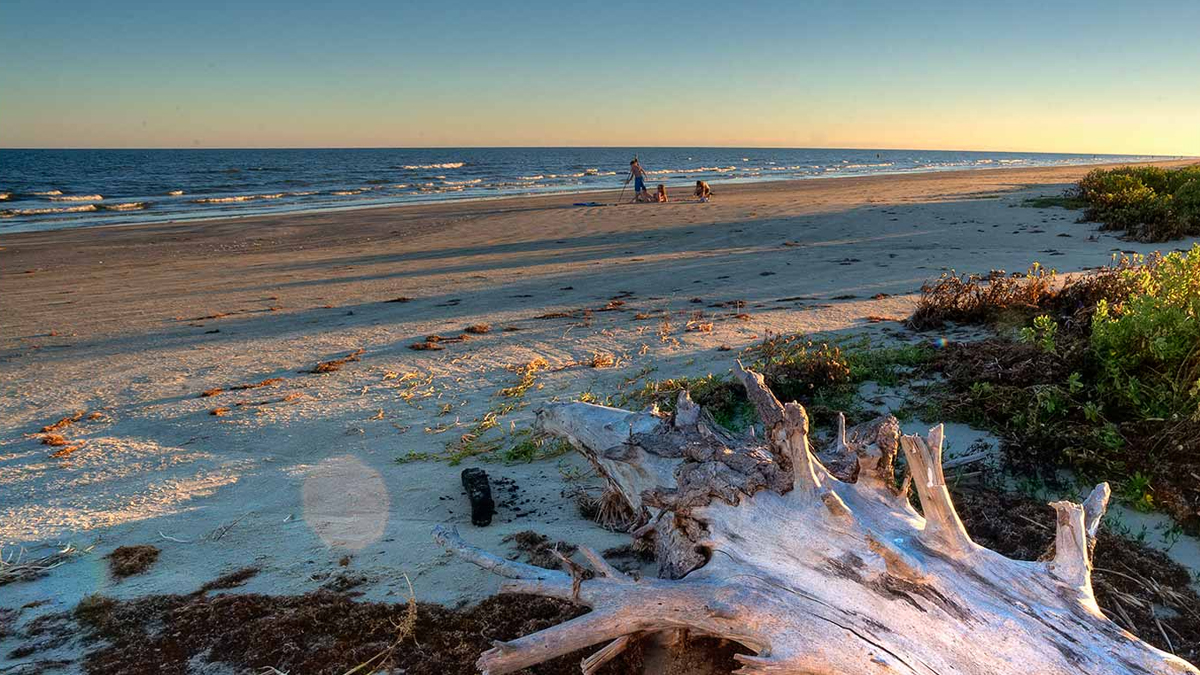 Las playas del área de Houston contaminadas con materia fecal - Telemundo Houston