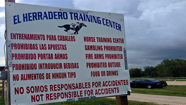 tlmd_elherradero_houston1