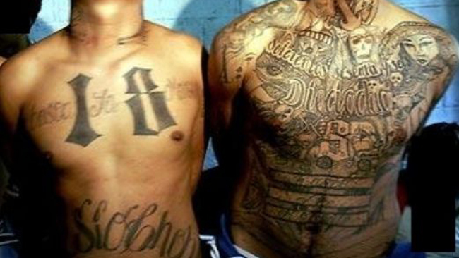 tlmd_pandillas_la18