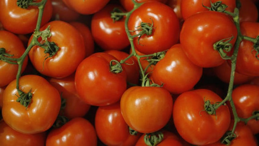 tlmd_tomates2
