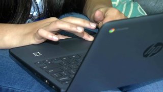 A student works on a laptop.