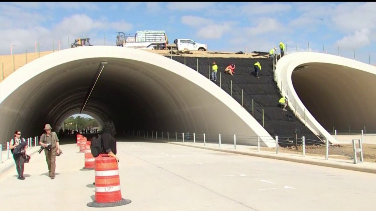 Inauguran túneles ecológicos en el Memorial Park Telemundo Houston