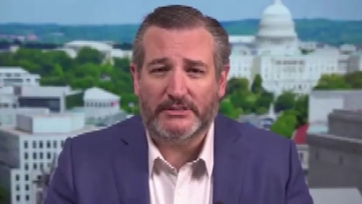 Texas Senator Ted Cruz talks about what happened in Washington DC – Telemundo Houston