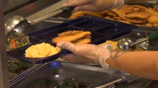 food served onto a plastic cafeteria tray