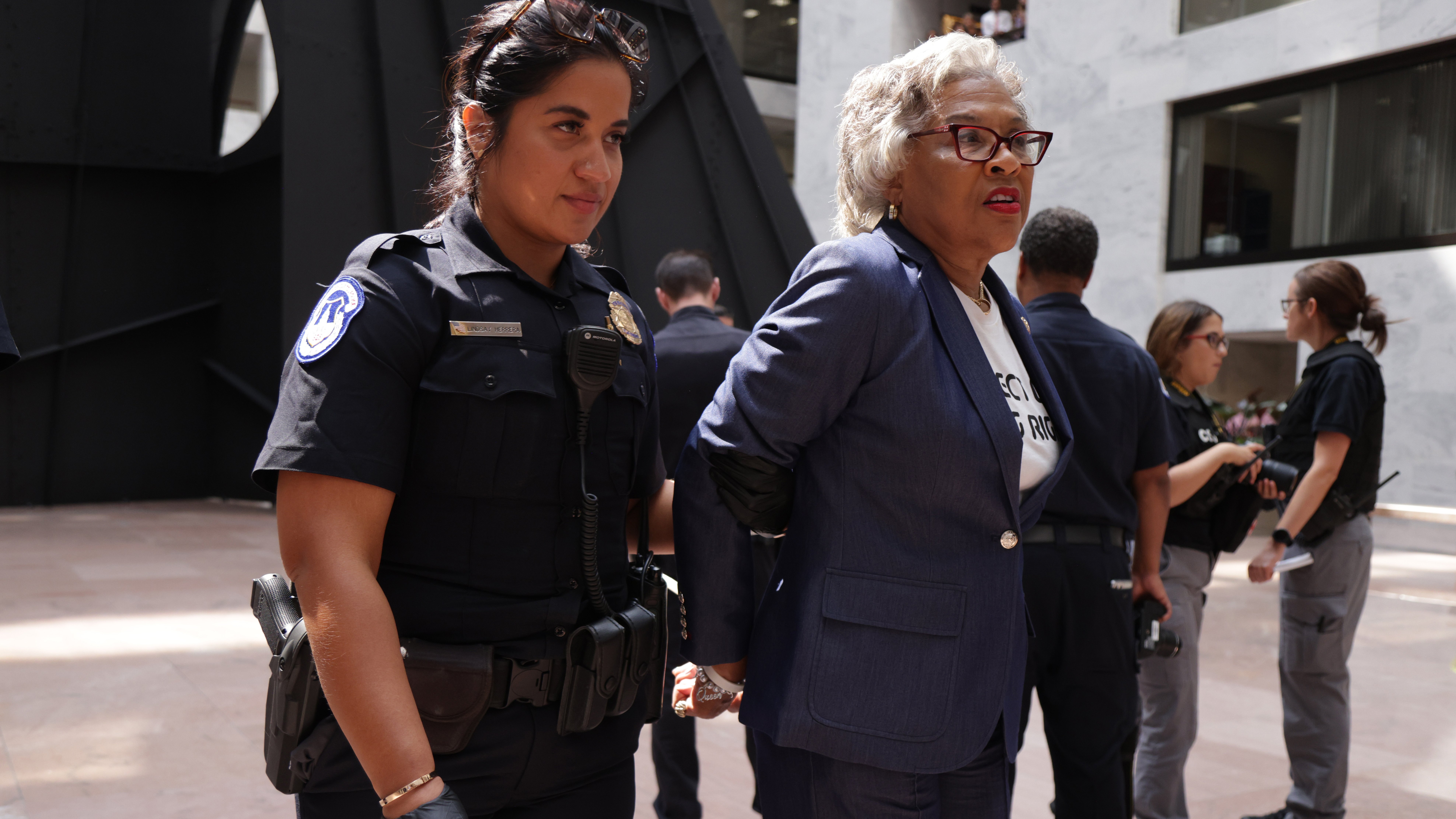 Arrestan en una protesta a Joyce Beatty, la líder de los congresistas afroamericanos - Vimarsana News