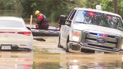 Rescatan 7 personas y 19 mascotas de zonas inundadas