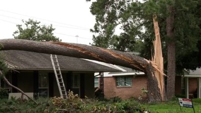 Decenas de familias afectadas por las tormentas en Spring Branch