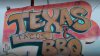 Texas: Tacos y BB: La combinación perfecta
