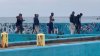 Emergencia en altamar: mueren 11 migrantes al volcar embarcación