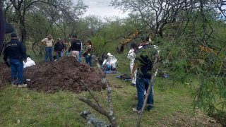 Los hallazgos ocurrieron en el municipio de Villamar, estado de Michoacán.