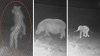 Siguen las “misteriosas” figuras captadas en cámaras cerca de zoológicos en Texas