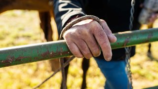 Las niñas construyeron cercas de alambre de púas, arrastraron cadáveres de animales muertos en una pila y fueron llevadas por todo el condado para limpiar iglesias y centros recreativos.