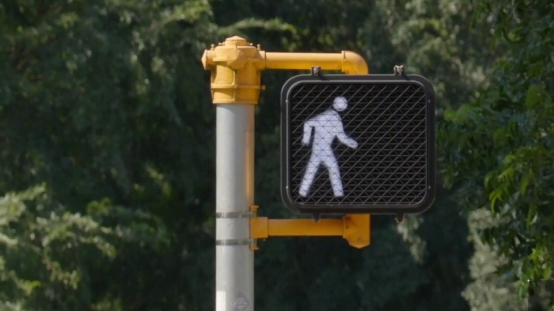 Cacería a hispana acusada de darse a la fuga tras mortal accidente –  Telemundo Houston