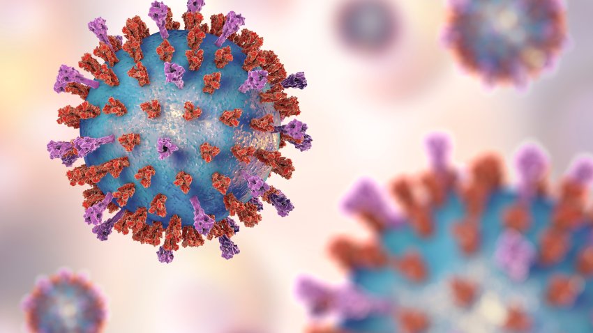 Respiratory syncytial virus, illustration