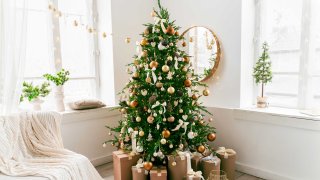 Expertos dicen cuando es conveniente quitar tu árbol de Navidad – Telemundo  Houston