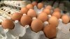 Retiro de huevos por salmonela: revisa si tienes alguno de estos productos
