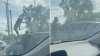 Dramático video: captan a pareja atacando al auto de una mujer en incidente de furia al volante