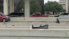 Persecución policial en Houston termina en tiroteo en plena autopista; hay un policía herido
