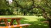 Sexo bajo la mesa: arrestan a pareja por tener relaciones en parque de Houston