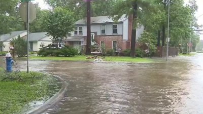 Protege tu hogar con un seguro contra inundaciones