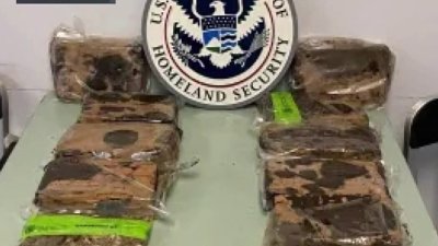 Incautan cocaína de una asilla de ruedas en el Aeropuerto Intercontinental de Houston