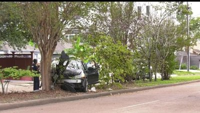 Muere conductor tras chocar con un árbol