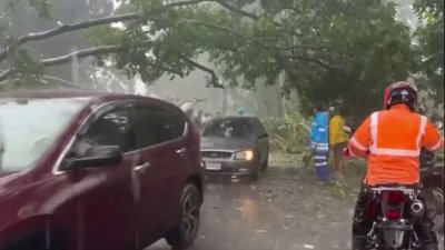 Impacto de tormenta tropical sara en honduras