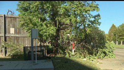 Una mujer muerta y dos heridas al chocar con árbol