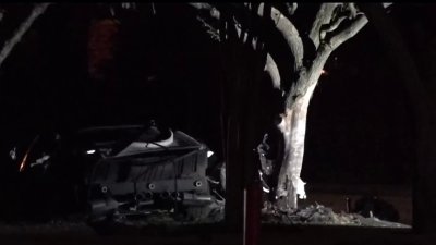 Conductor hospitalizado tras estrellarse contra árbol