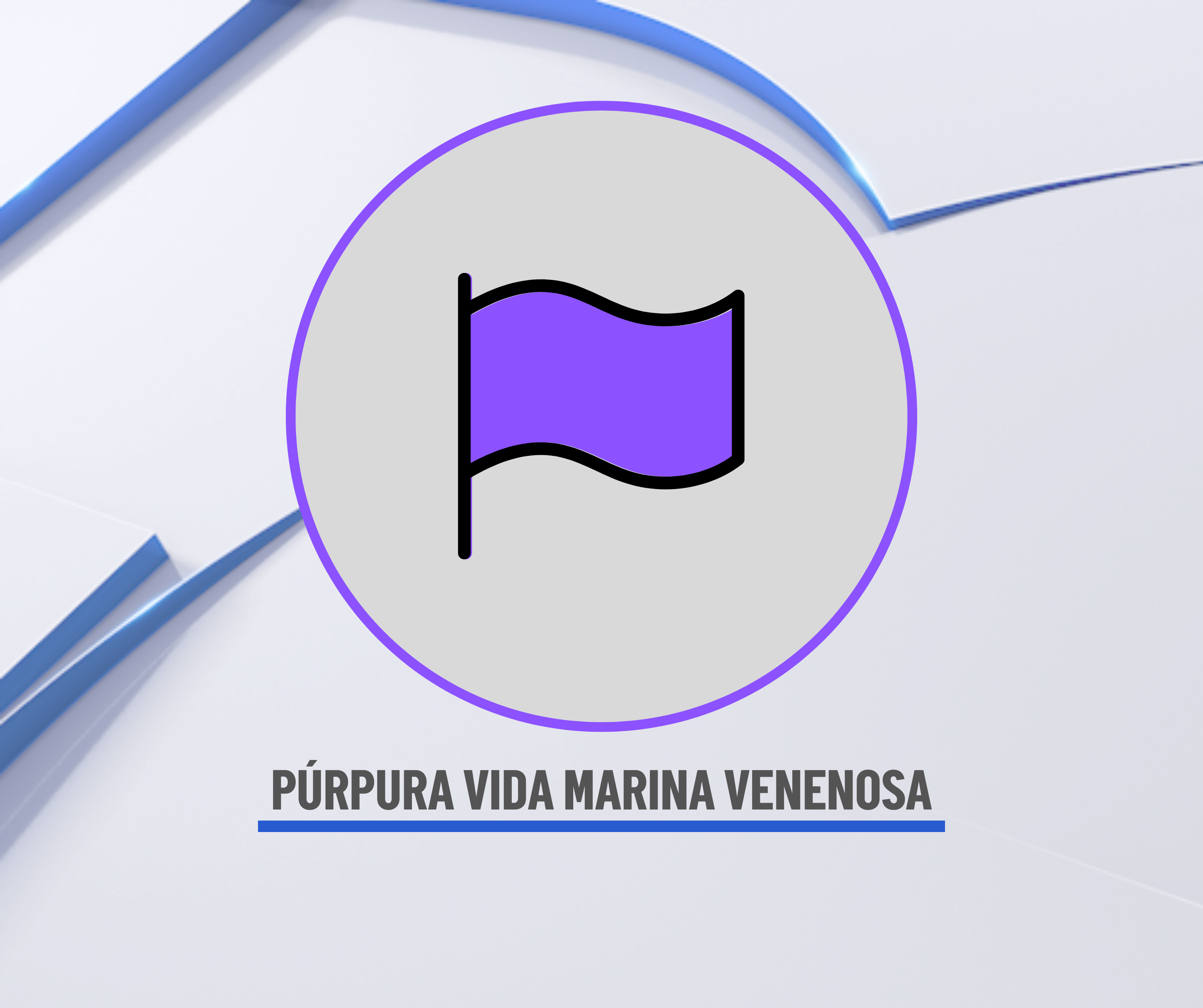 Púrpura: Las banderas moradas se utilizarán en combinación con otras banderas.