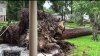 Tormentas mortales en Houston: confirman cuatro muertos y cuantiosos daños